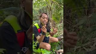 Download lagu yah bang Baud keracunan Tanaman #shorts mp3