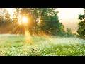 I've Got Peace Like a River (Instrumental) - Traditional Beautiful Hymn arranged by Tim Janis