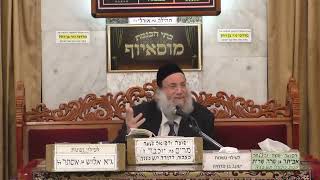 הרב אילן ספרא | פרשת ויקרא תשפ"ד | מוסאיוף (בית הכנסת מוסאיוף - ערוץ חדש) - התמונה מוצגת ישירות מתוך אתר האינטרנט יוטיוב. זכויות היוצרים בתמונה שייכות ליוצרה. קישור קרדיט למקור התוכן נמצא בתוך דף הסרטון