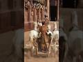 Ben Hur Filming The Most Iconic Chariot Race In Cinema History