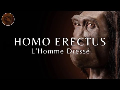 Homo Erectus : l'homme debout | Documentaire sur les humains préhistoriques
