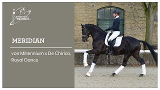 Video of DSP Meridian