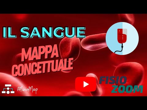 IL SANGUE/ #FisioMap