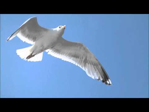 Bolle Jan - Sie me tiete