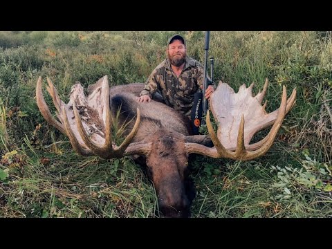 74" MEGA GIANT!!! Solo Alaskan Moose Hunt - Stuck N The Rut 211