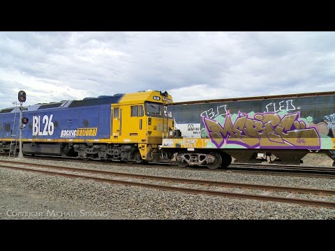 7734V Pacific National Standard Gauge Grain Train With BL32 & BL26 (25/1/2024) - PoathTV Railways