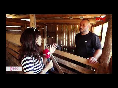 Me bylmet e ushqime tradicionle, pritja e familjes në bjeshkën e Deçanit - JETA