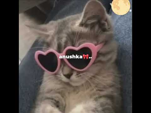 me and my group🫠💗..@bhakti.dancer @anushkasheaven