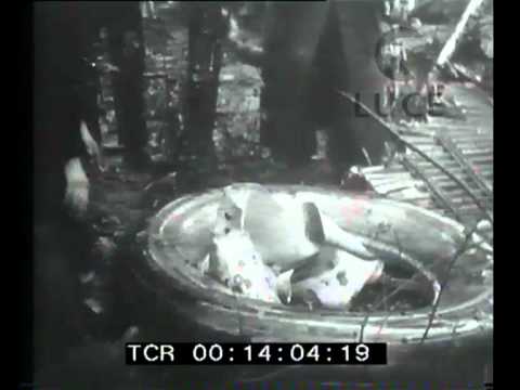 Incidente aereo in Inghilterra