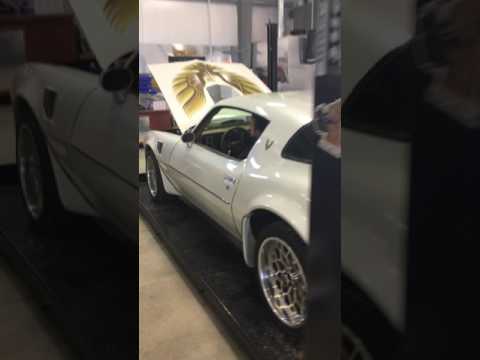 1979 Pontiac Firebird Trans Am (CC-950460) for sale in Valley Grove, West Virginia