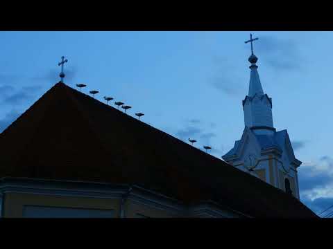 Eljött a nap mit várva vártunk (Karácsony - Gyergyóújfalu)