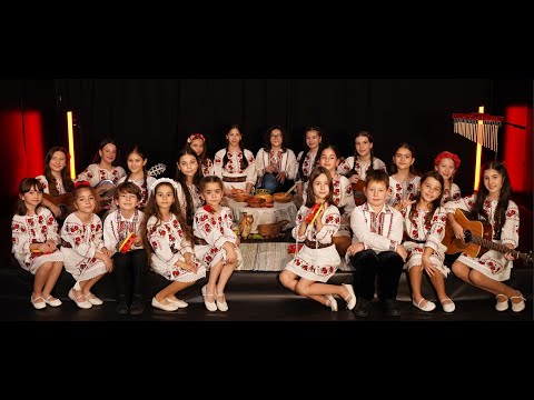 Andante - Azi e miercuri maine-i joi