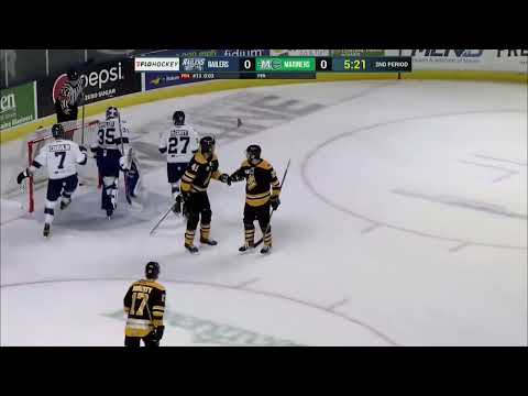 Maine Mariners vs. Worcester Railers highlights - 3/5/23
