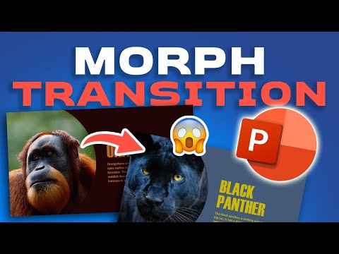 How to use MORPH in PowerPoint to create an amazing presentation 🤯