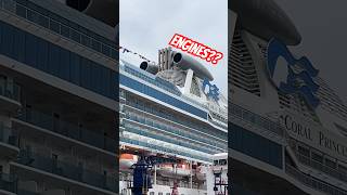 Why this cruise ship has JETS on its funnel? #shorts