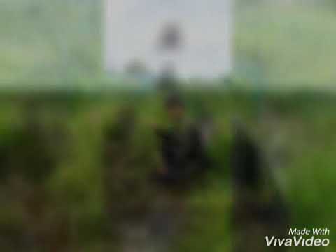 Charlie company class 588-19 (MAILAP).