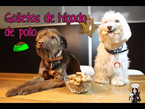 ¿Cómo hacer galletas de hígado de pollo para perros en casa? - Recetas para Perros - Cristy Pet Chef