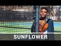 Post Malone, Swae Lee | Sunflower | Jeremy Green | Viola Cover
