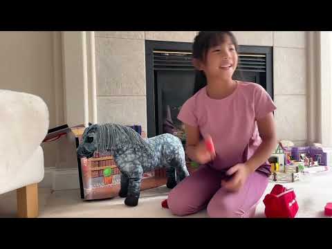 Mini Lemieux Pony Review!! Show and Tell - The Basics of Grooming a Horse