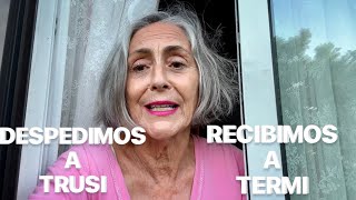 LAS ANTI VACACIONES   Julio 2025 #10b