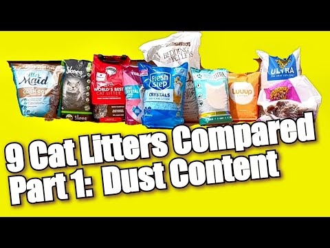 9 Cat Litters Compared (Part 1: Dustiness)