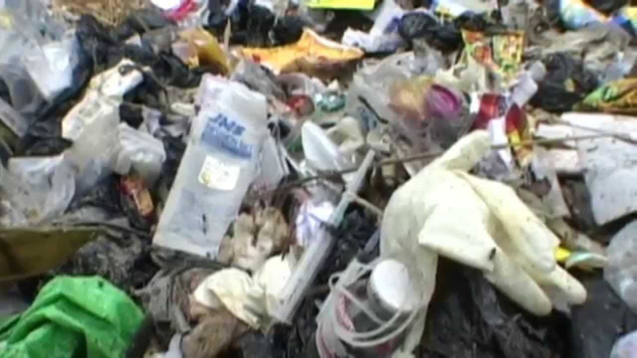 Health Care Without Harm