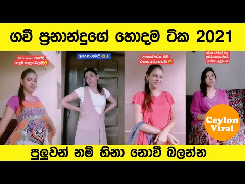 Gavi Fernando Tiktok collection - Gavi fernando hodama tika - titok collection 2021