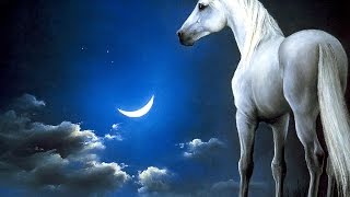 Sensation  lounge - Unicorn -Bel canto