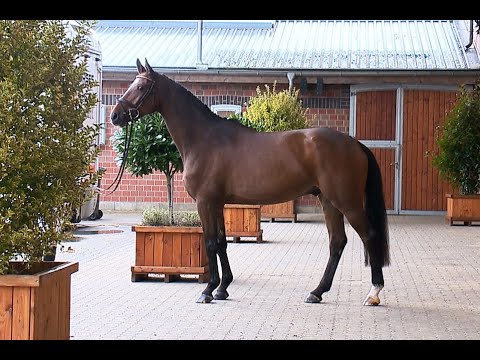 Katalog Nr. 12 - CATCHER