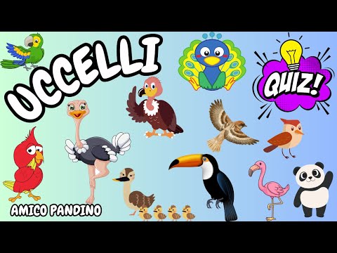 Animali per bambini - GLI UCCELLI - Impara gli animali con Pandino - quiz animali - regno animale