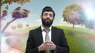 טו בשבט: משמעות החג - הרב אליהו חייאיב HD