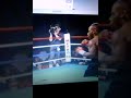 Steve Thomas boxing clips(1)