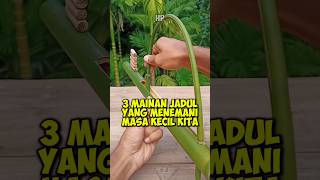 Download lagu 3 Old-school Toys That Accompanied Our Childhood! Number 3 is starting to become rare! mp3