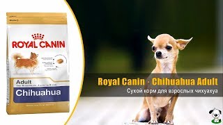 Royal Canin Chihuahua Adult 85 г (2041001) - відео 1