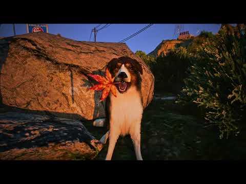 Nala und der verschlossene Held