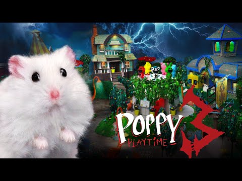 If My Hamster Was In Poppy Playtime 3 - Hamster Maze In Real Life