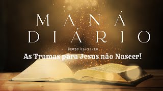 Maná Diário -Trama as Tentativas para Jesus Não Nascer
