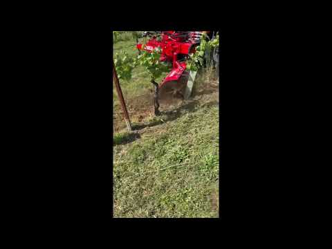 Spollonatrice diserbatrice a fili Cucchi