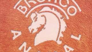 Bronco - 10 Entre el Cielo y el Infierno