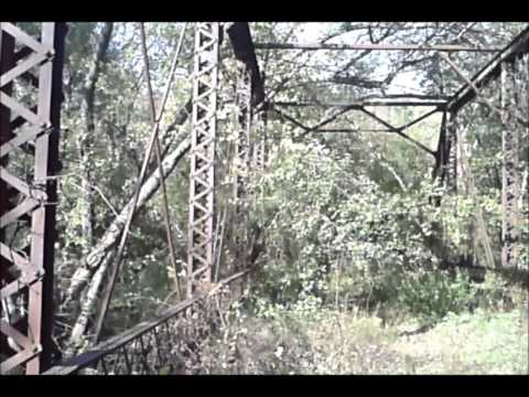 Dog Face Bridge Video 2