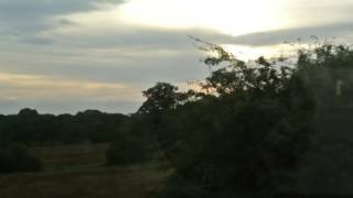 preview picture of video 'Sunset over Pentyrch'