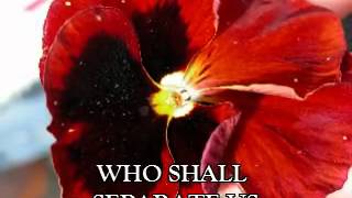 Your Love Is Deep - Jami Smith