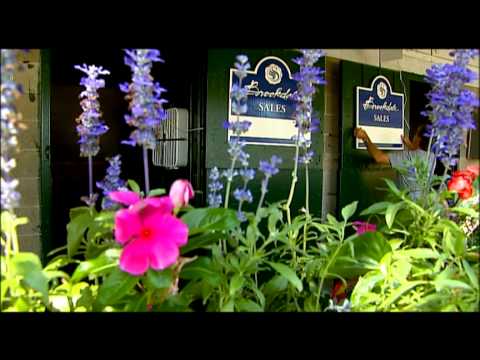 2013 September Yearling Sale Prep