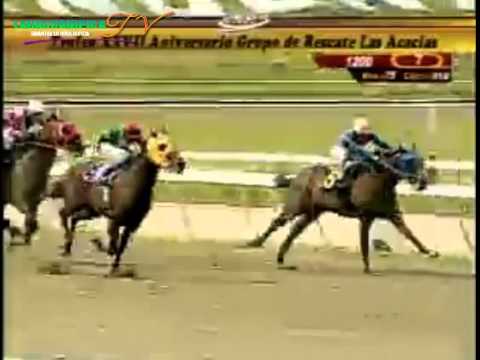 LA RINCONADA 7 CARRERA, SABADO 04 DE OCTUBRE DEL 2014