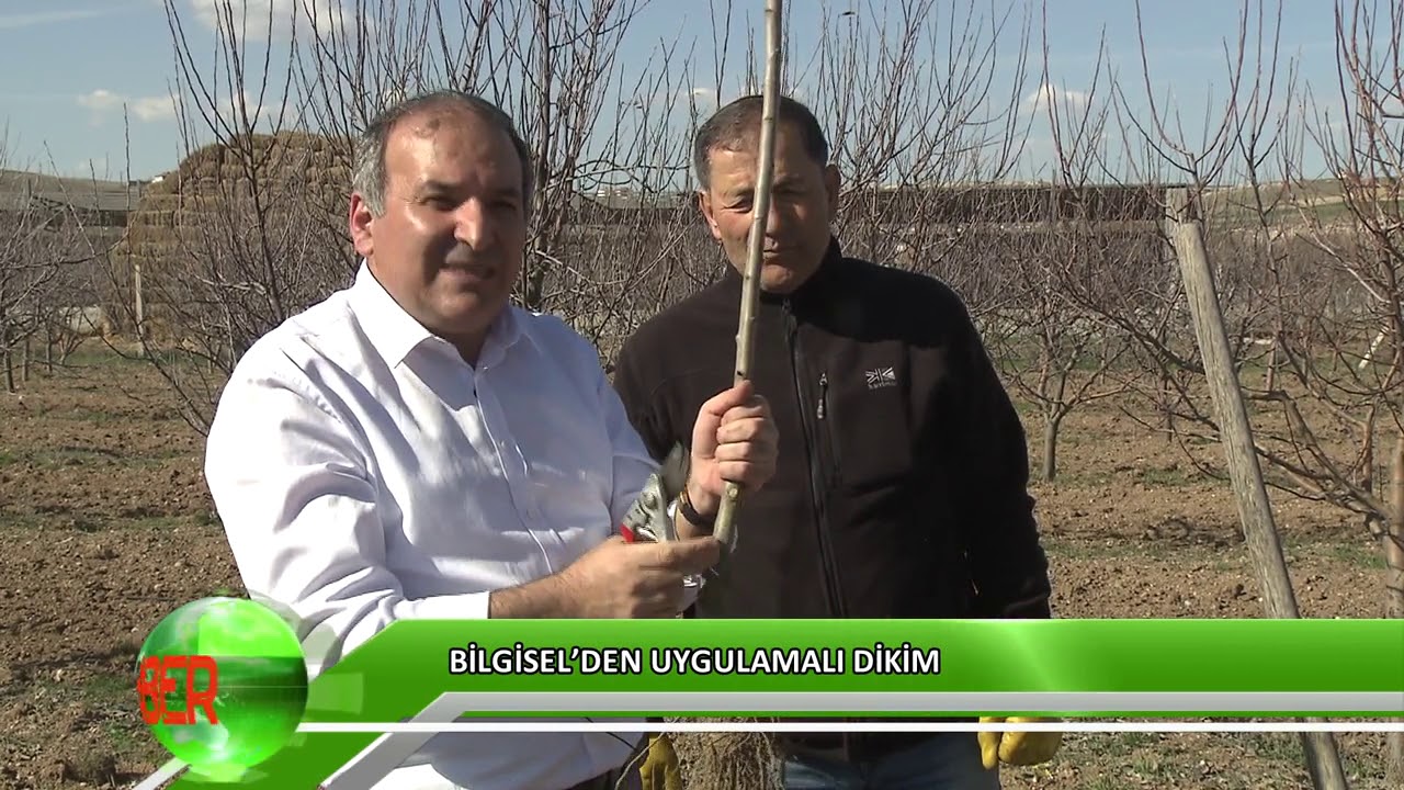 Meyve Fidanını Nasıl Dikmeliyiz?