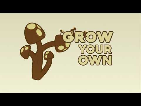 Easily grow your own Mushrooms at home!