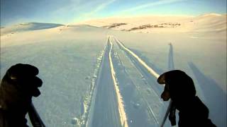 Cross-country skiing Ranafjellet & Saltfjellet