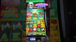 San Fa Rabbits Slot: Sticky Wild FREE GAMES WIN BIG!