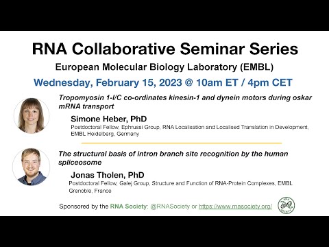 RNA Collaborative - European Molecular Biology Laboratory, Feb 15, 2023