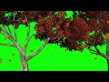 Red Trees In Green Screen